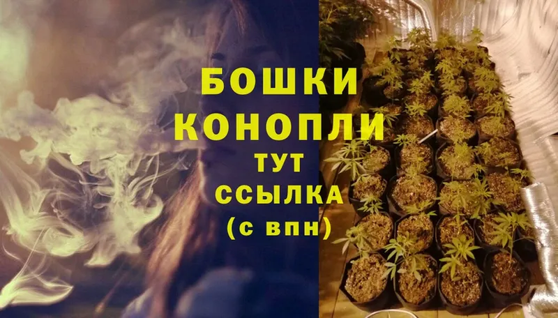 магазин продажи наркотиков  Кунгур  МЕГА как зайти  Канабис SATIVA & INDICA 